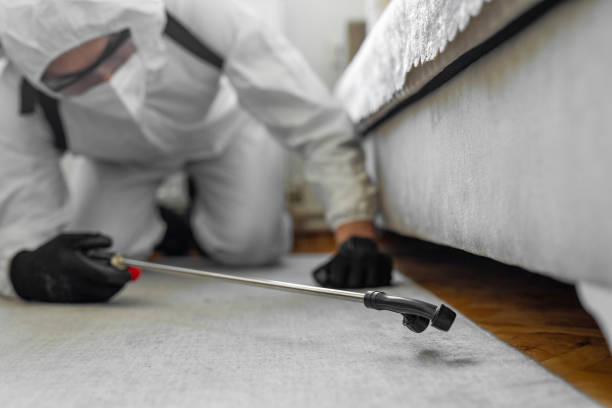 Professional Bed Bug Control technician working in Washougal, WA