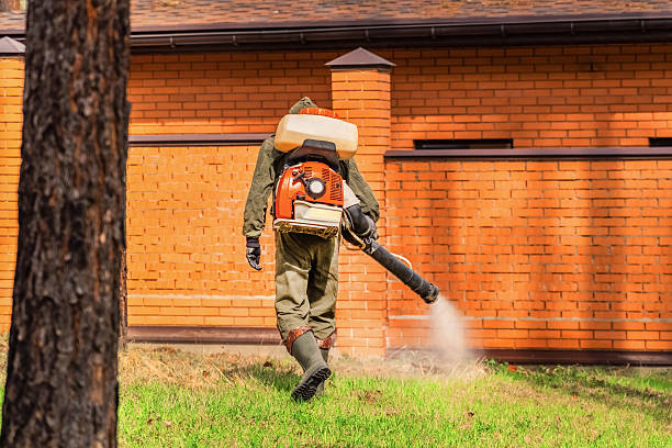 Trusted Termite Control service in Washougal, WA - Nex Pest Control